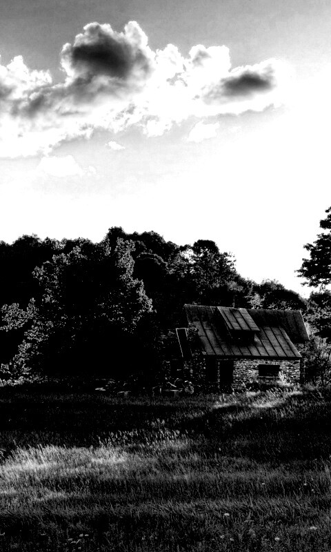 Домик в лесу обои