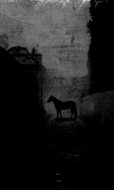 Лошадь в тумане обои