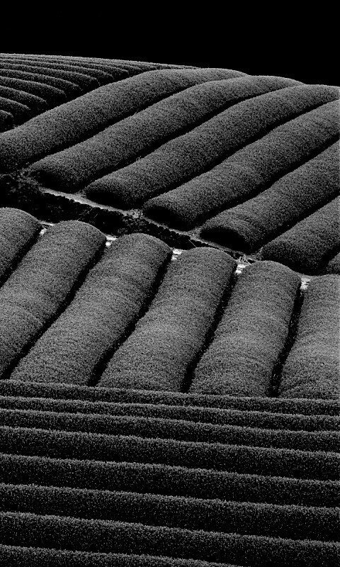 Красивые гряды обои