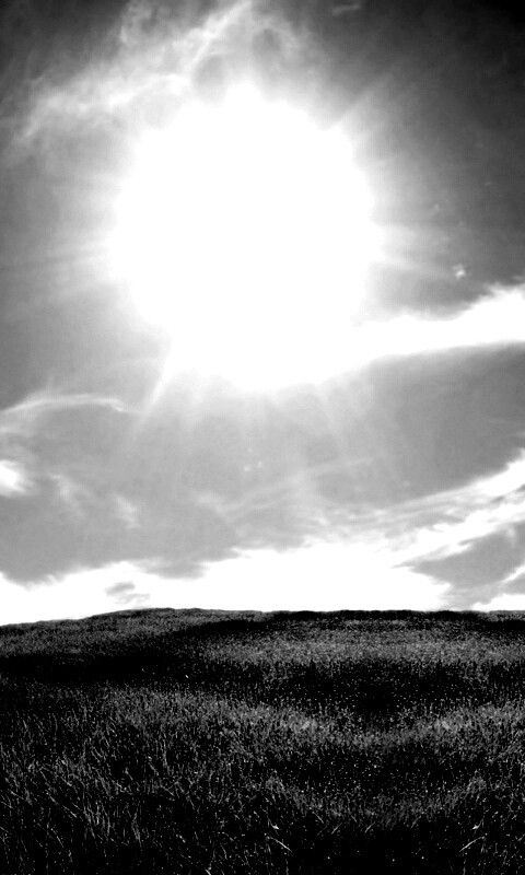 Солнце над холмом обои