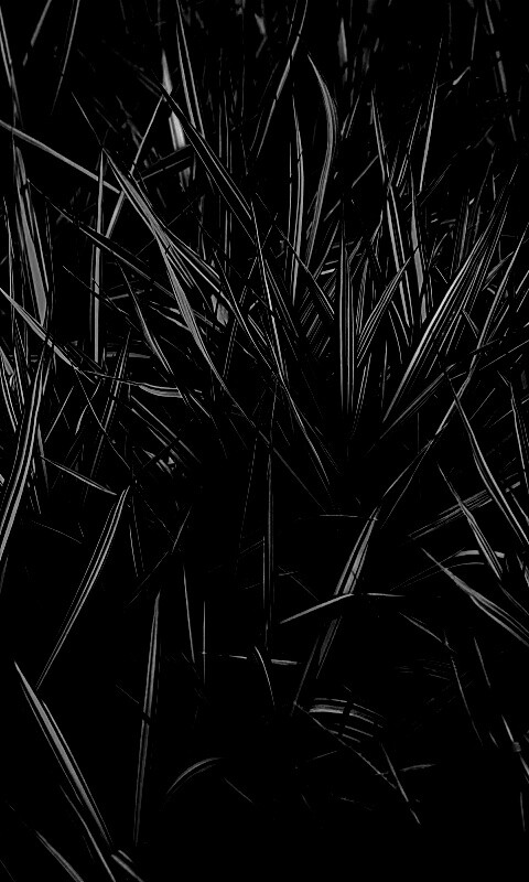 Дикая трава обои