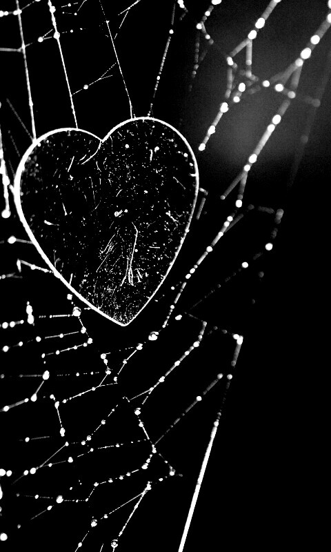 Запутавшаяся любовь.. обои