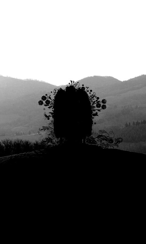 Деревья на холме обои