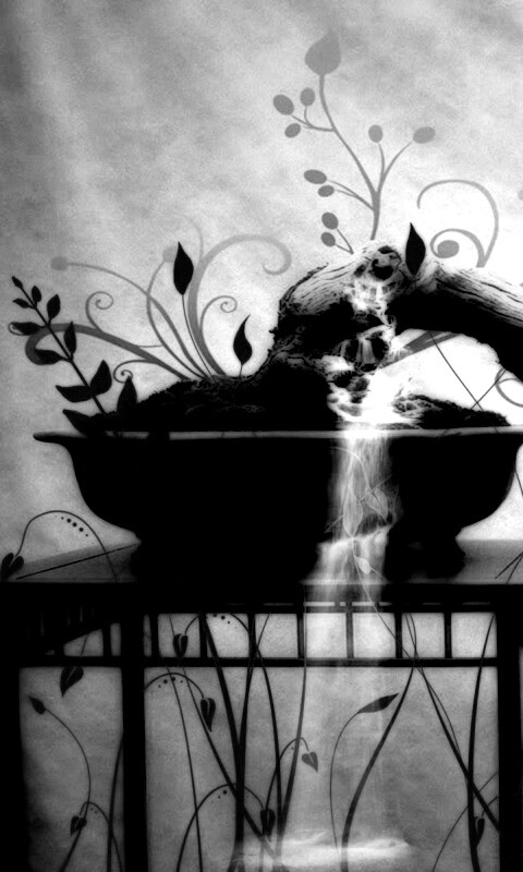 Карликовое дерево обои