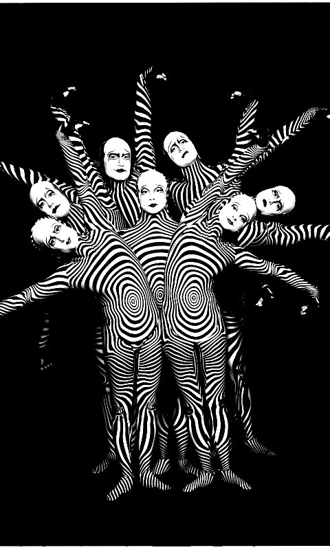 Зеброиды (актеры цирка дю солей) обои