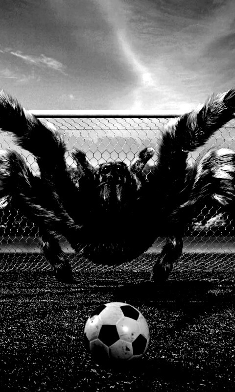 Вратарь обои