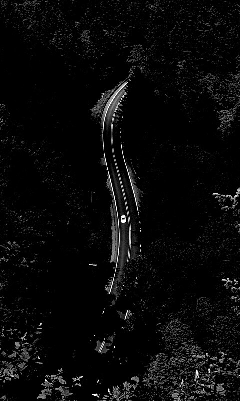 Лесная трасса обои