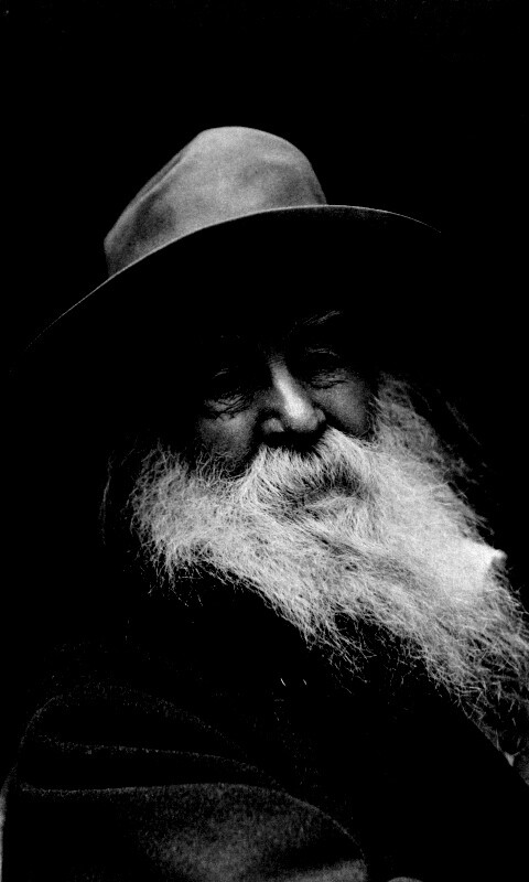 Уолт Уитмен обои