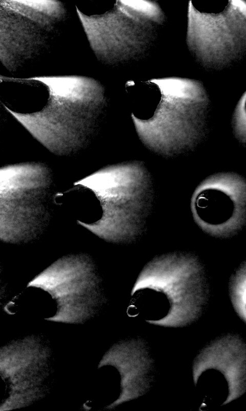 Чёрные карандаши обои