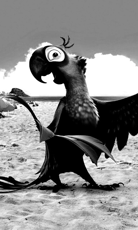 Blu из Rio обои