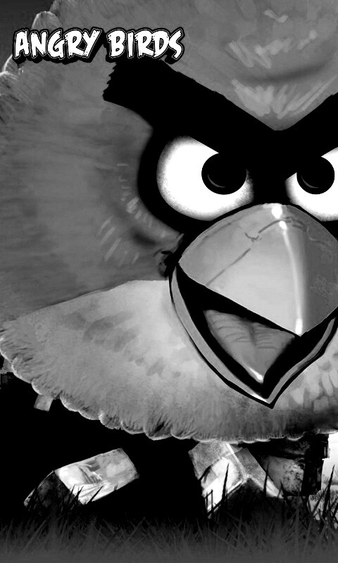 Angry Birds обои