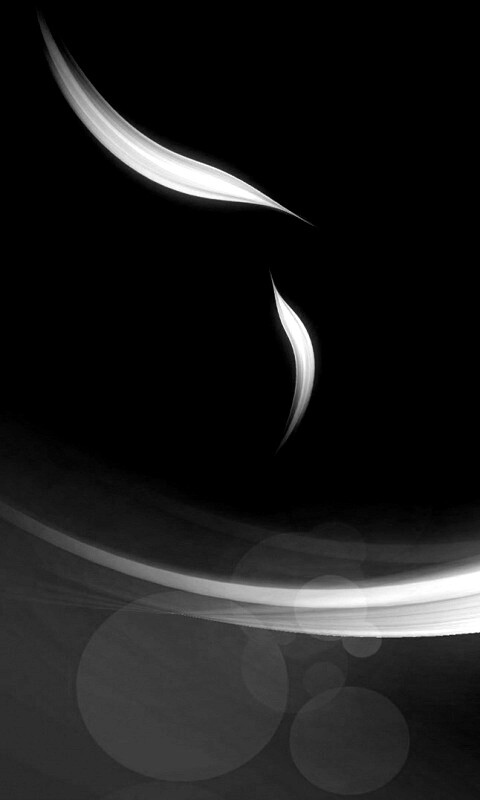 Лепестки света обои