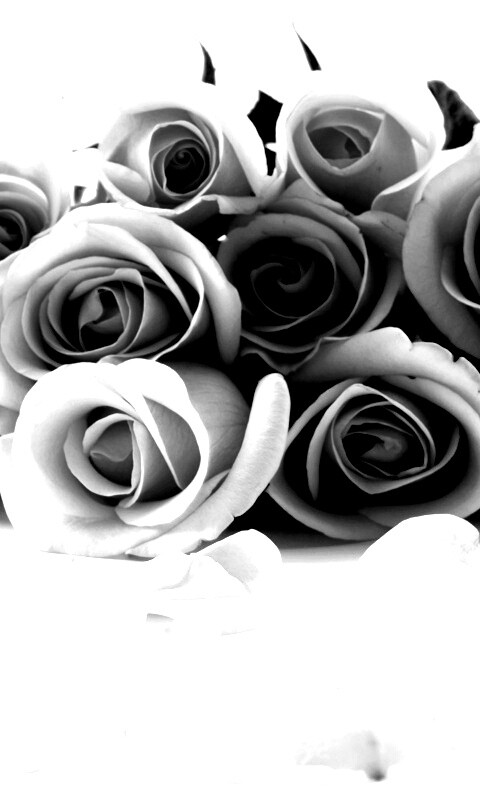 Букет роз обои