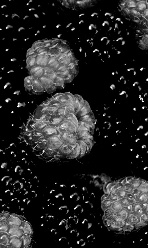 Малина и ежевика обои