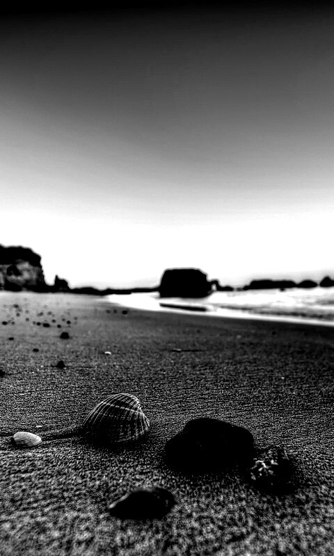 Океанский берег обои