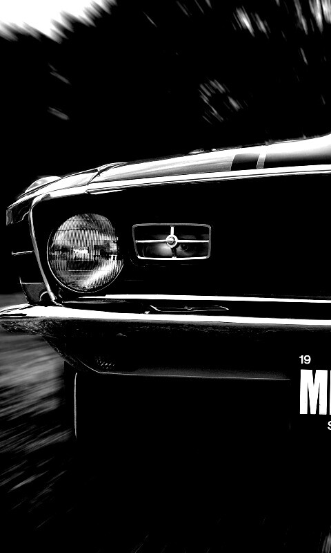 Мустанг обои