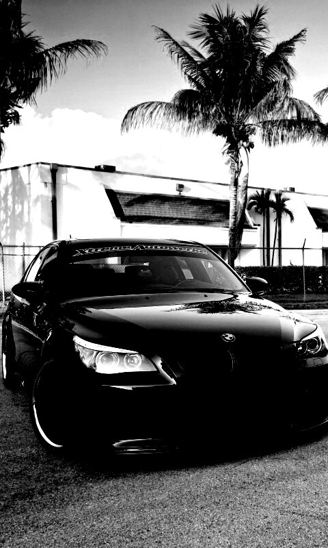 Две БМВ обои