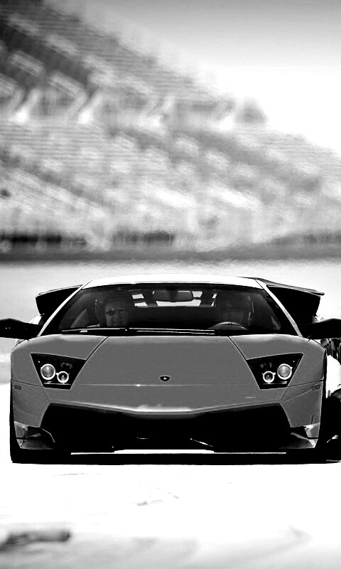 Lamborghini Murcielago обои