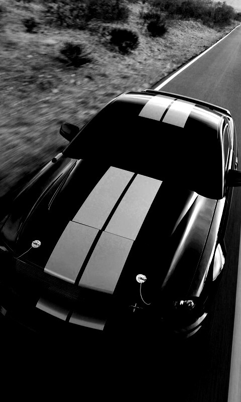 Ford Mustang  с гоночными полосками обои