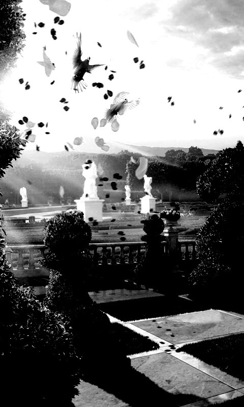 Шахматный сад обои