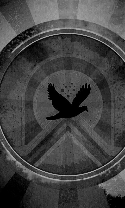 Голубь мира обои