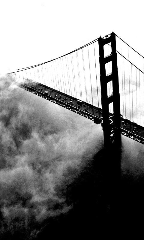 Мост Золотые ворота утопает в тумане обои