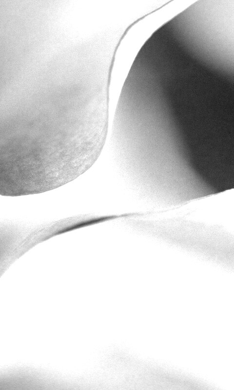 Оттенки природы обои