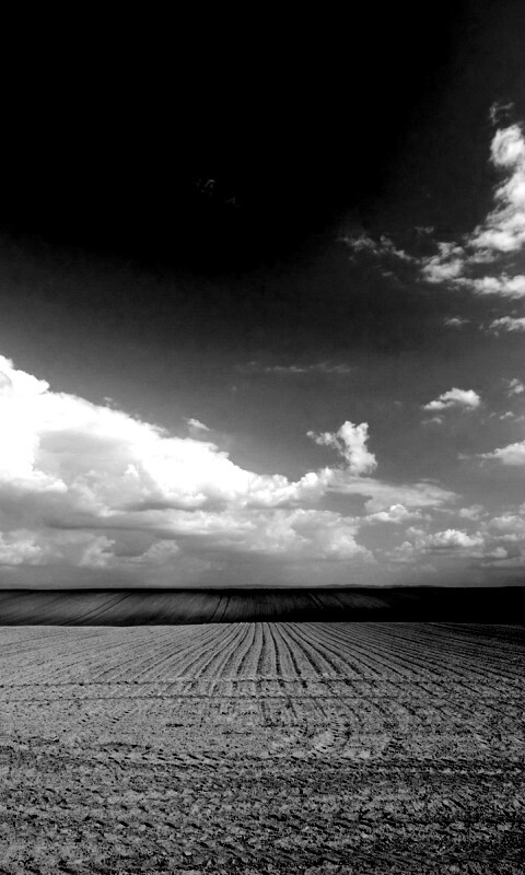 Незасеянное поле обои