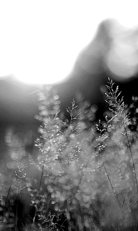 Посмотри на этот мир обои