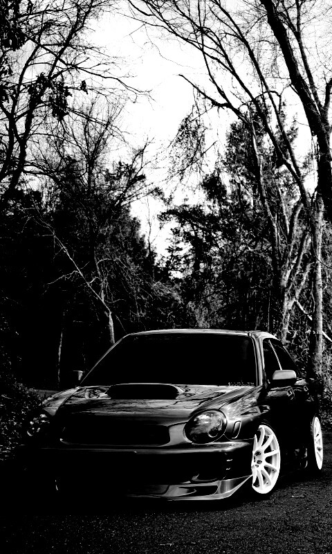 Субару Импреза на лесной дороге обои