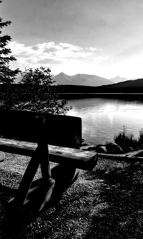 Деревянная скамья на берегу озера обои