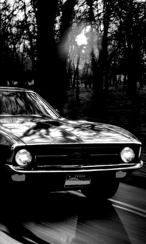 Мустанг обои