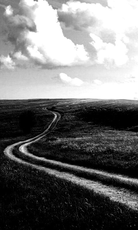 Дорога через луг обои