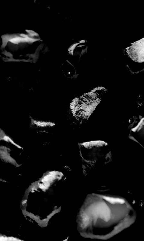 Ядра граната обои