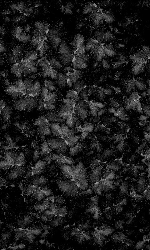 Осенние листья обои