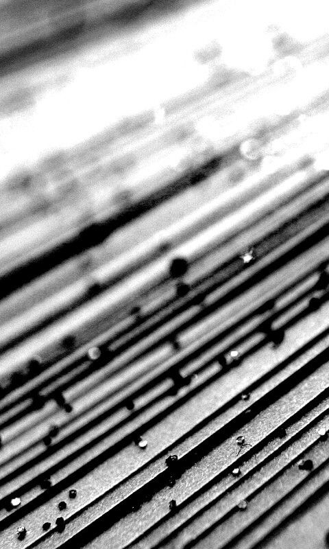 Рассыпавшийся бисер обои