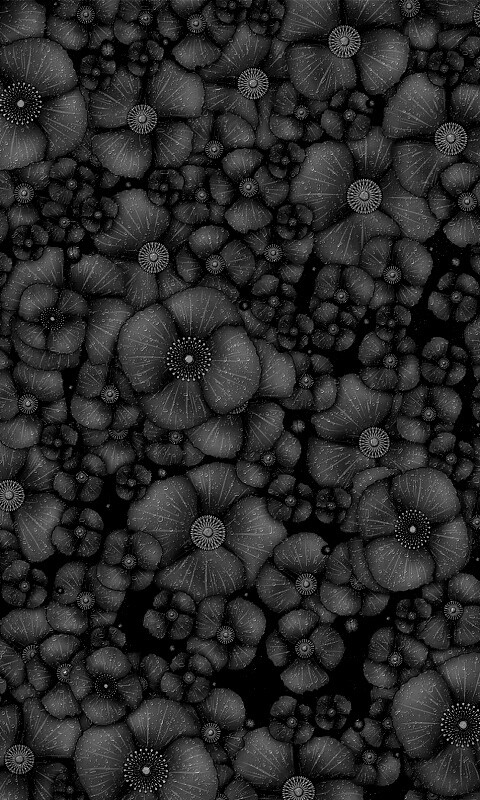 Рисунко с красными цветами обои