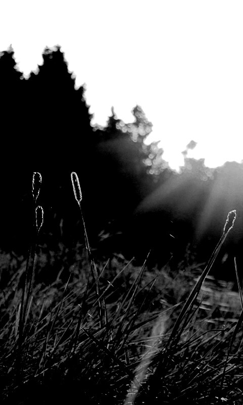 Красота природы обои