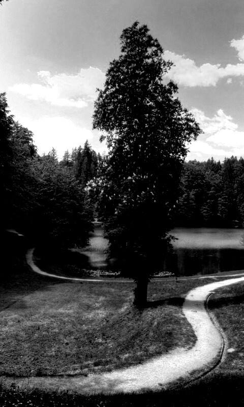 Прекрасная природа обои