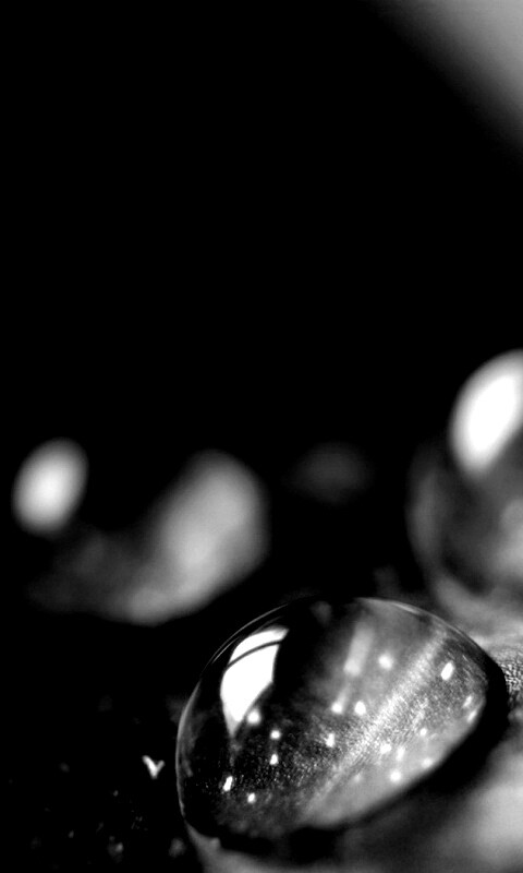 Зеленые капли росы обои