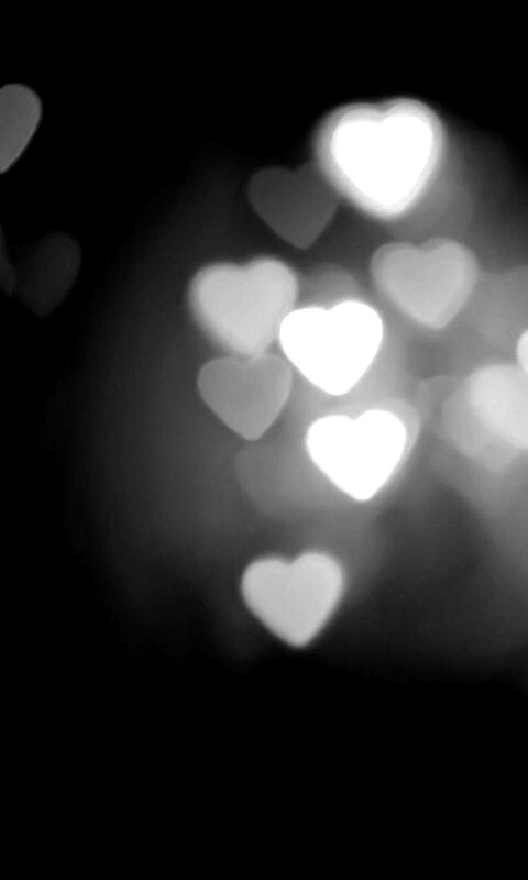 Фотографируй с любовью обои