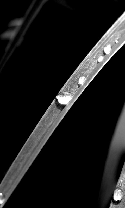 Капли росы на траве обои