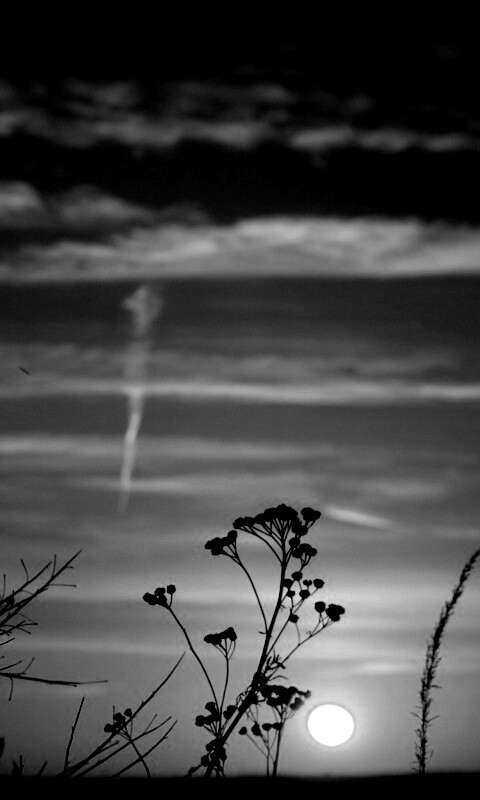 Степной закат обои