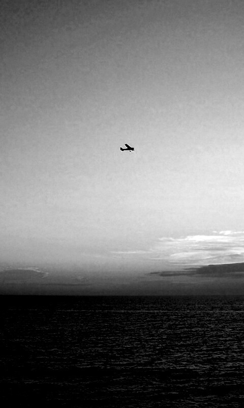 Паращий над морем обои