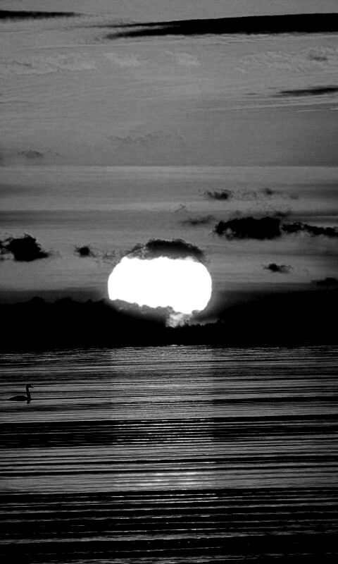 Великолепный рассвет обои