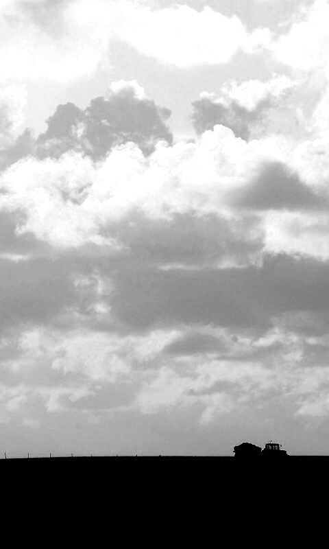 Прекрасный день обои