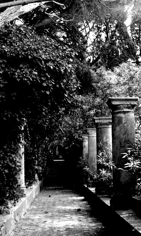 Галерея зимнего сада обои