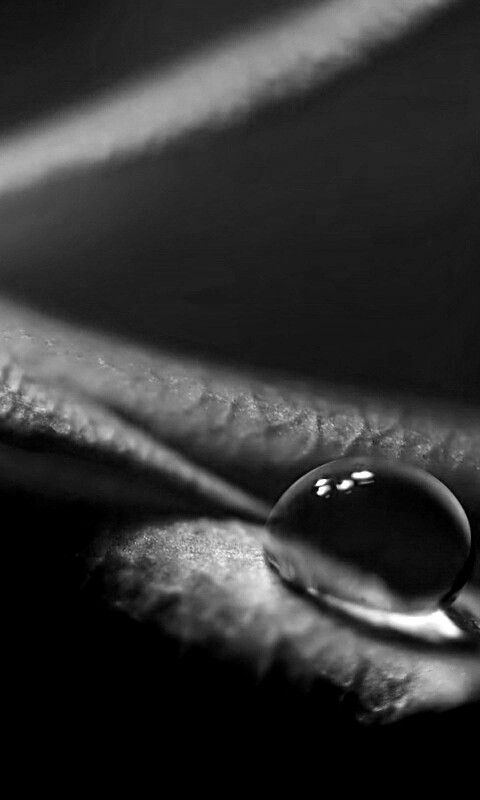 Капелька обои