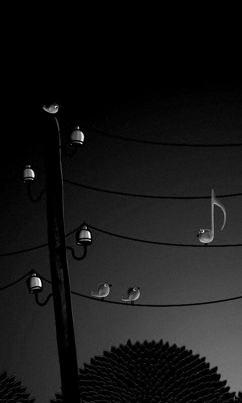 Нотка и птички на проводах обои