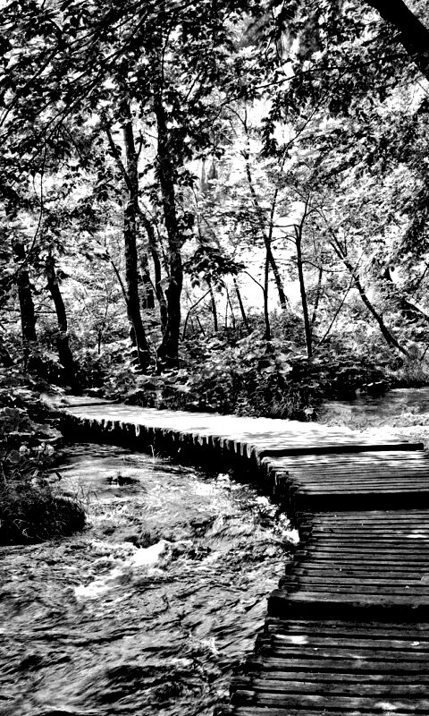 Тропинка над водой обои